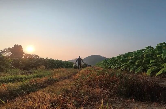 都说桂阳美丨守望