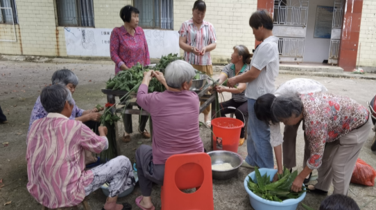 和平镇：粽香满党群 温情迎端午——石城村开展端午暖心惠民活动