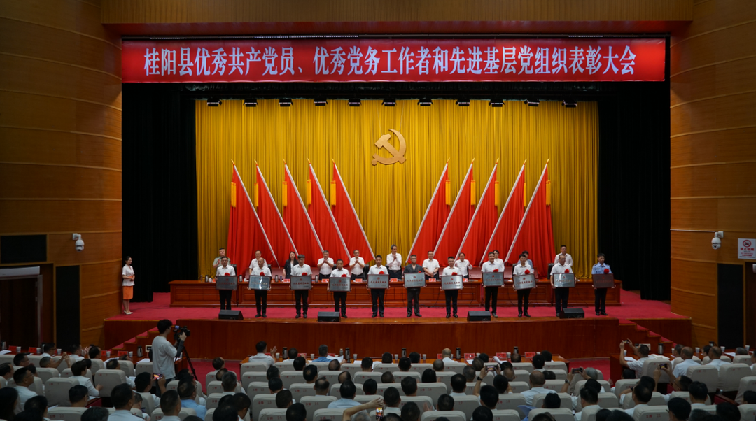 桂阳县优秀共产党员、优秀党务工作者和先进基层党组织表彰大会召开