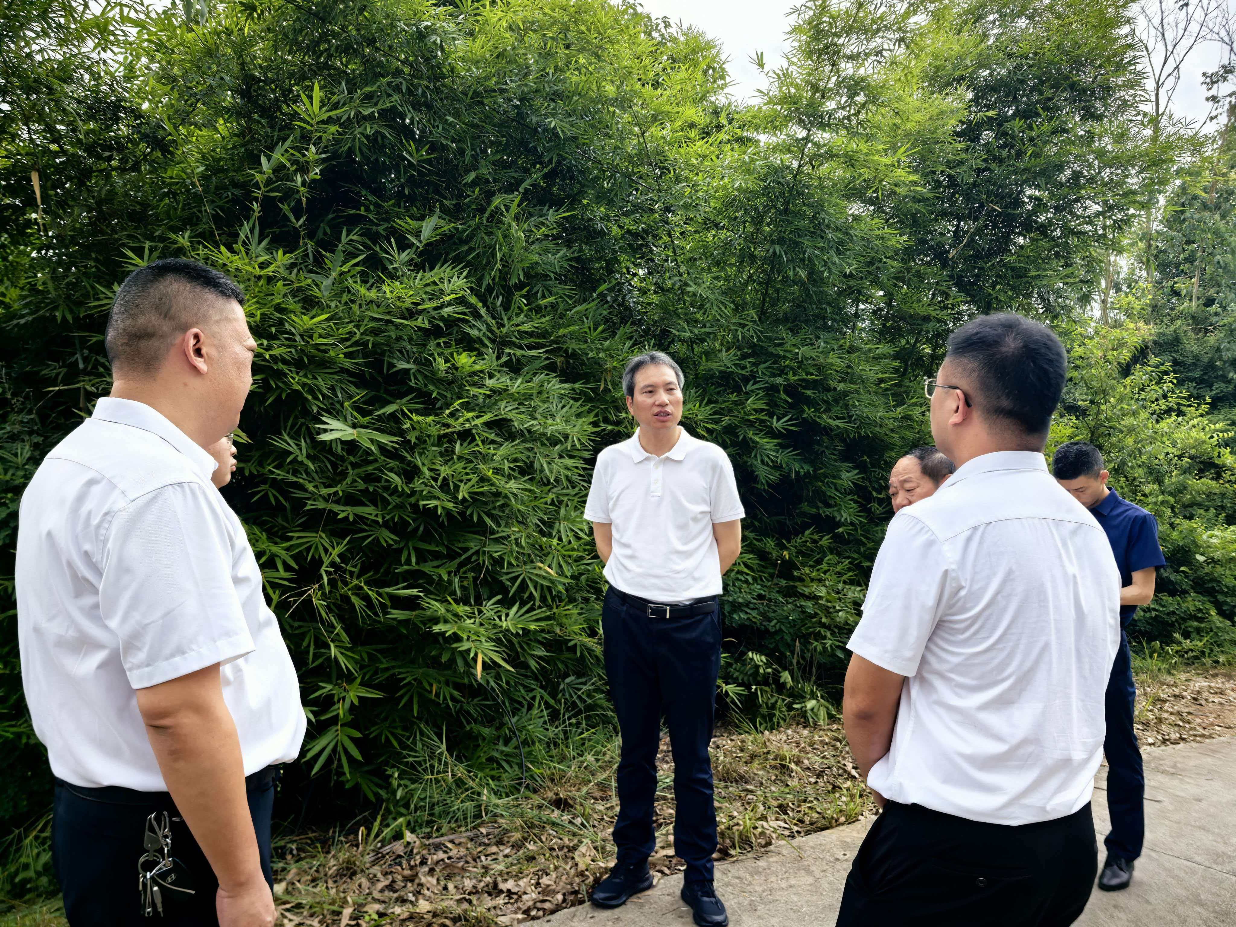 李富春调研重点企业发展、道路交通安全及乡镇当前重点工作