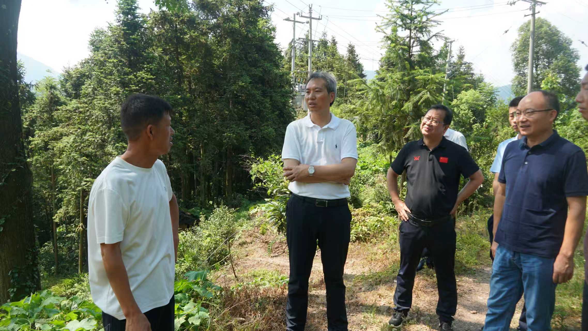 李富春暗访防汛备汛和地质灾害防治工作