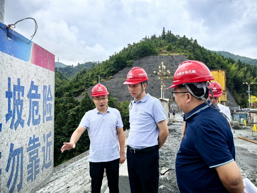 李富春调研桃源水库隐患治理及乡村振兴试点工作