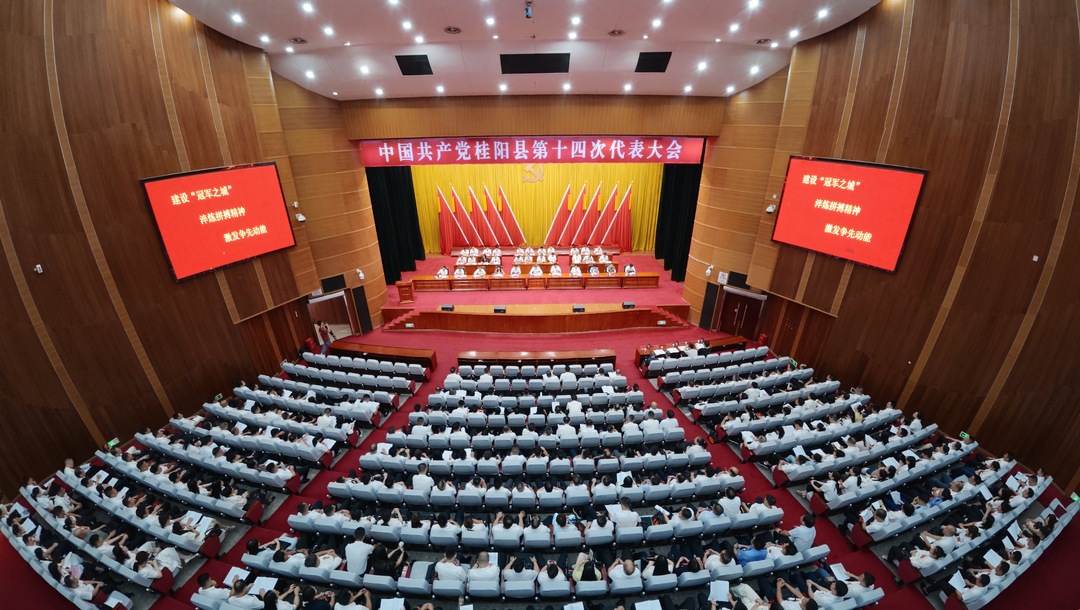 党代会特别报道|中国共产党桂阳县第十四次代表大会召开第二次全体会议