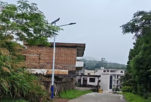 天塘村28盏路灯照亮群众“幸福路”  ——塘市镇“小而美”民生实事项目建设系列报道之十