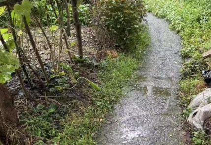 泥巴路变水泥路 漏雨屋顶加新棚  ——塘市镇“小而美”民生实事项目建设系列报道之十一