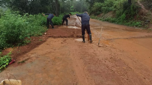 雷坪镇：脚步丈量汛情，汗水守护平安