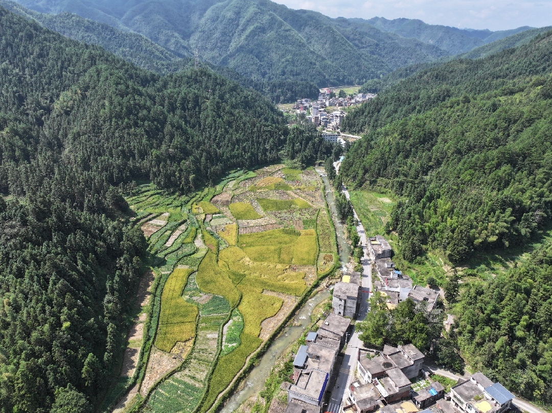 白水瑶族乡：暴雨致农作物受损 民兵服务队助农抢收