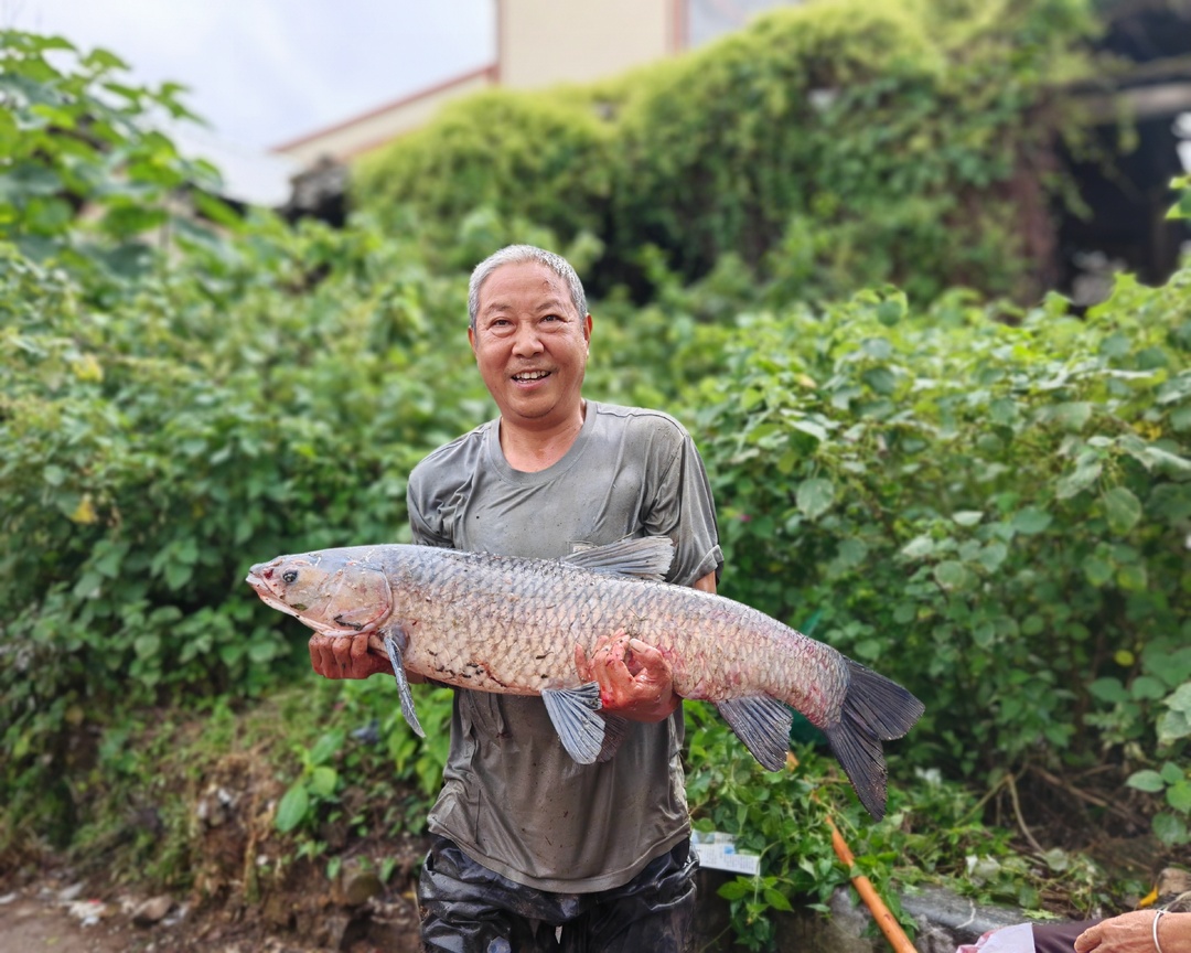 莲塘镇锦湖村首届捞鱼节火热上演