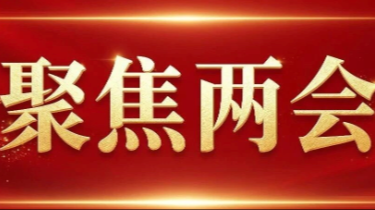 桂阳县第十九届人民代表大会第一次会议议程