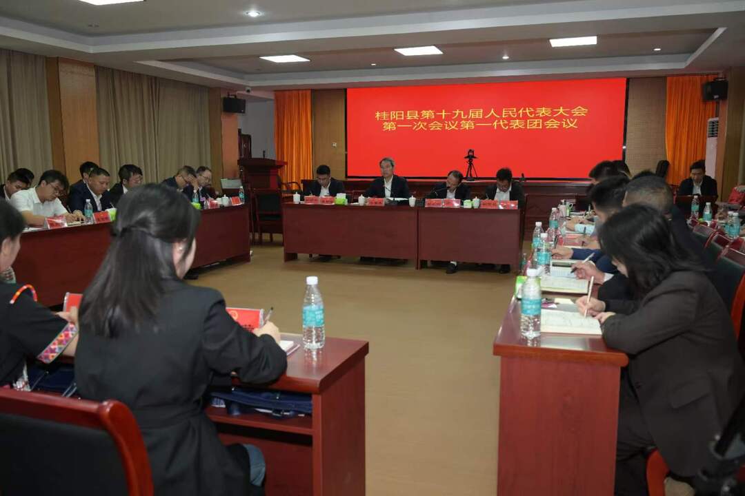 聚焦两会|李富春参加县十九届人大一次会议第一代表团讨论