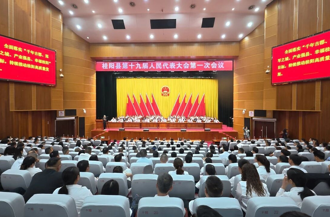 聚焦两会︱桂阳县第十九届人民代表大会第一次会议胜利闭幕