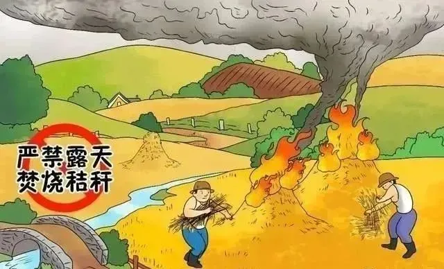環(huán)?？破?| 秸稈禁限燒政策全解讀