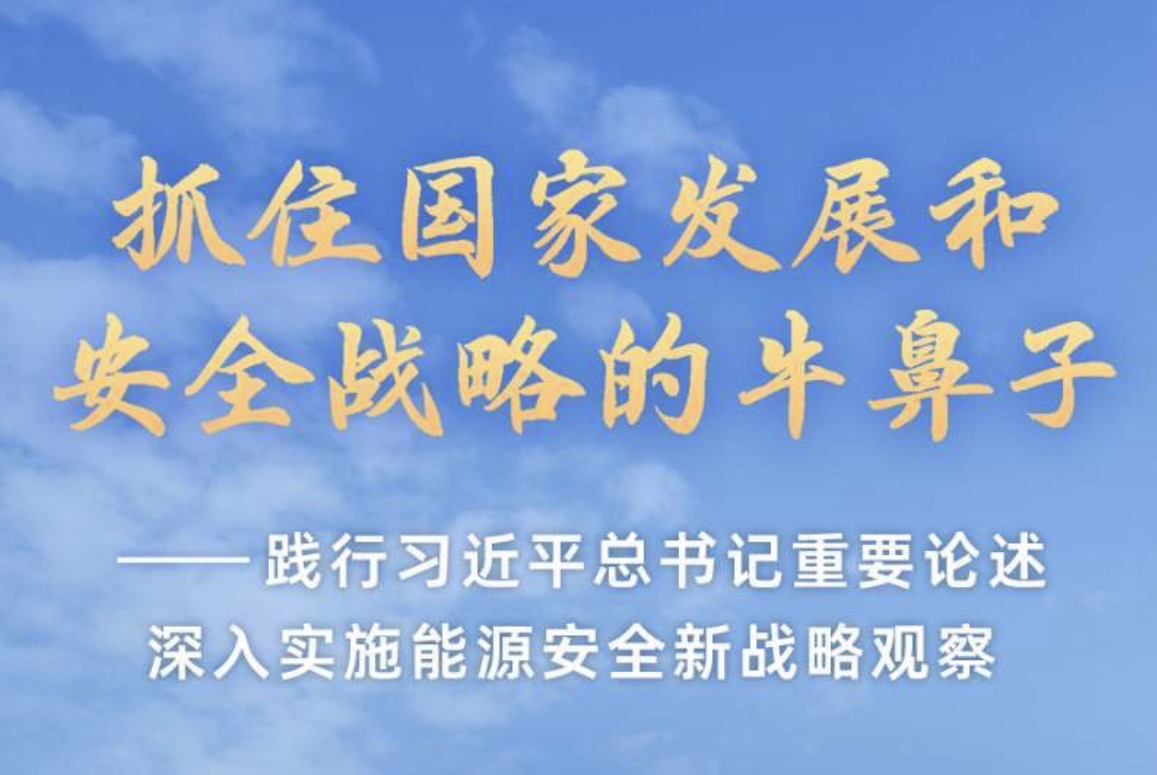 践行习近平总书记重要论述深入实施能源安全新战略