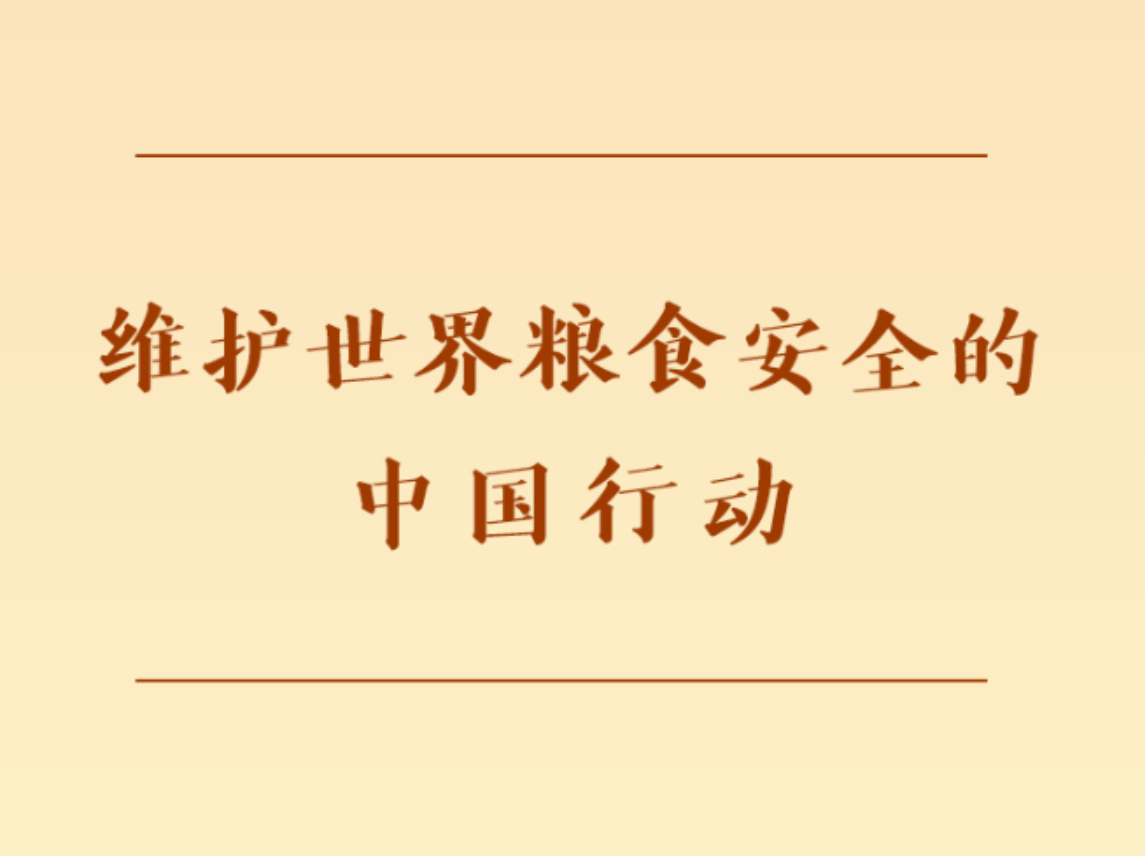 第一观察 | 维护世界粮食安全的中国行动