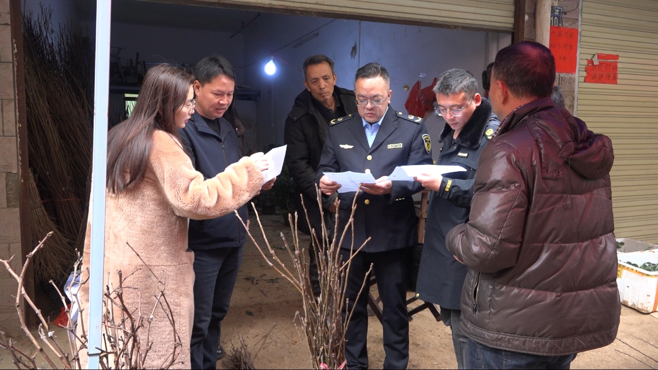 人勤春早|县农业农村局护航农民群众用上放心种苗