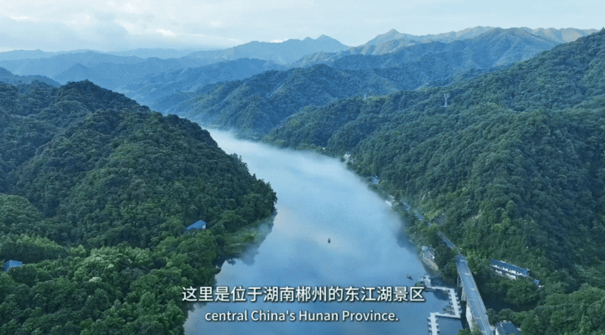 Vlog丨探寻东江湖水的奇妙旅程